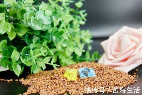 早餐|早上是养肝“黄金时间”，早餐吃对了，肝脏多半会越来越健康