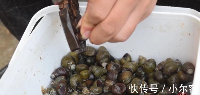 美味|炒石螺最好吃的做法，简单美味又馋人，看看你喜欢吃不？
