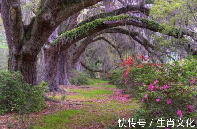 好运|在春节之前，3生肖好运不减，有财来袭，有福入命，咸鱼能翻身！