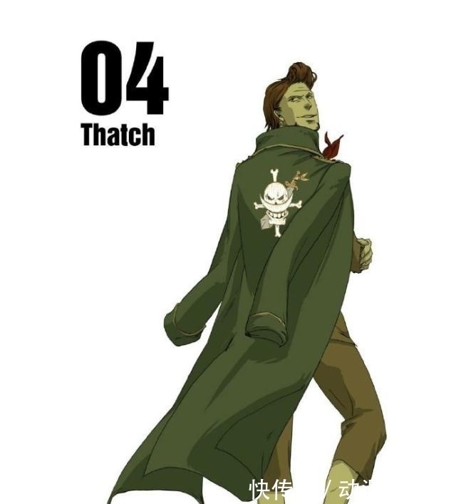 队长|海贼王：白团16位队长简介，顶上战争中放水的有几位？