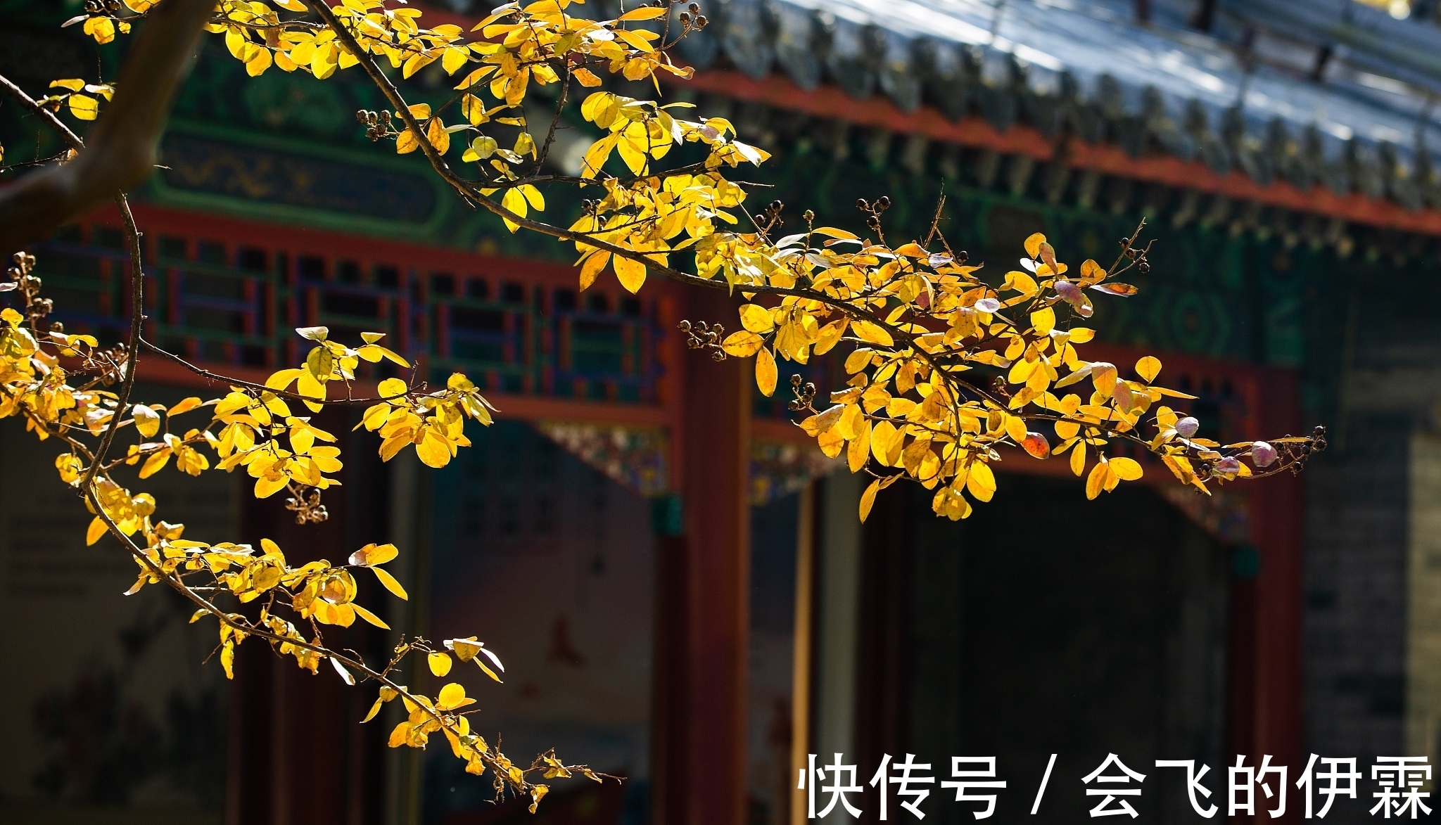 诗家&贫穷诗人留下一句名句就过世了,后代诗家怎么各显神通为他补诗?