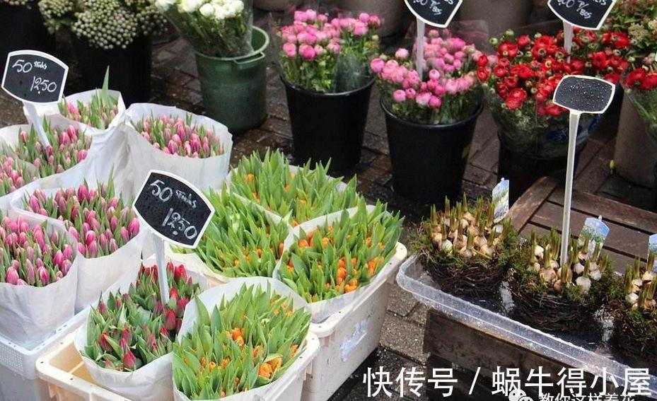 刚买的花，养几天就枯死，原来这里没做对，很多人不知道！