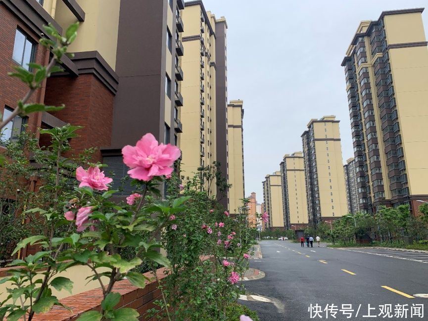 选址|舍得拿出地段好环境好的地块，这些“五好”动迁房上榜了