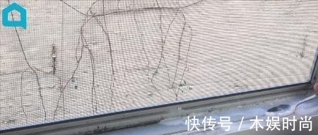 地板|教你最省心的年末大扫除方法，春节让房间焕然如新