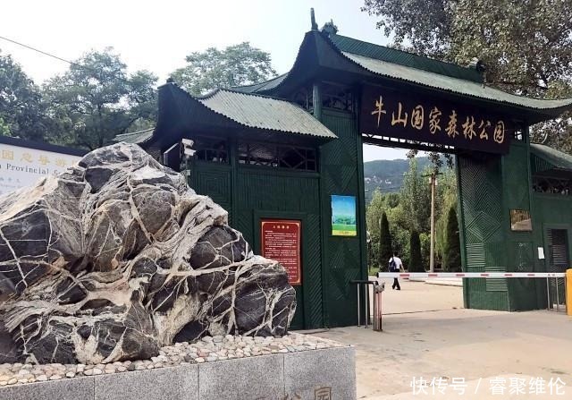 牛年去看牛,到有牛的地儿讨个好彩头,盘点山东省内的“牛”景点