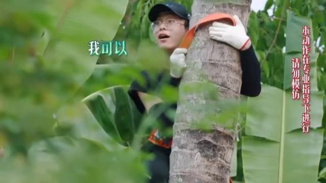 《向往》中情商最低的嘉賓何炅和黃磊都帶不動,大寫的尷尬