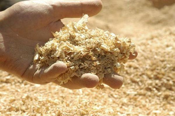 不换盆、不换土“搞定”花土板结，撒点粉喷点水，轻松解决难题