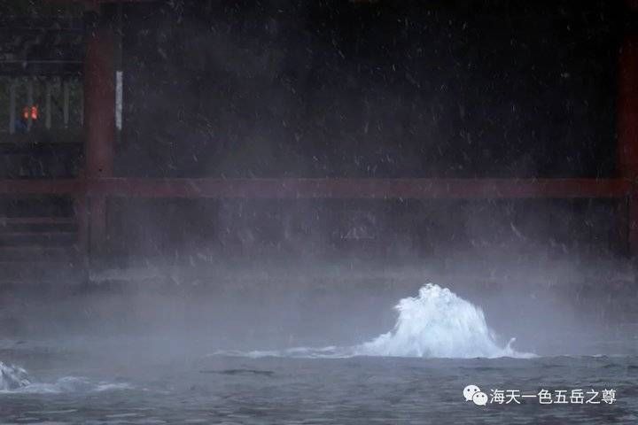 百脉泉|雪泉共舞，百脉氤氲：泉城第一场雪，百脉泉飞花穿庭，盛雪芳华