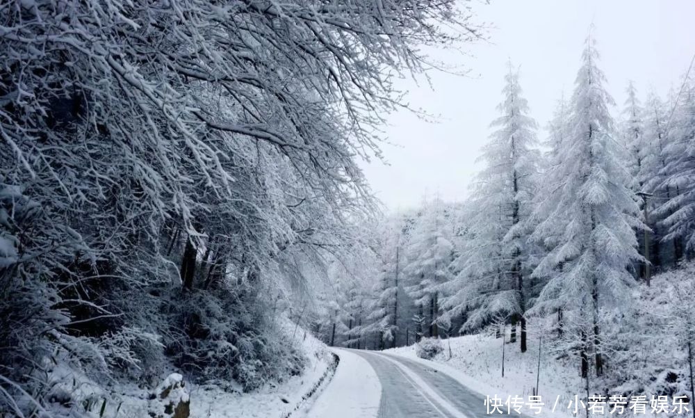 雪天|一到雪天，李家就美成了壁纸！