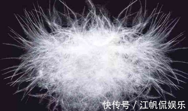 羽绒服洗过不保暖了教你一招清洗羽绒服的妙招,洗多少次都保暖