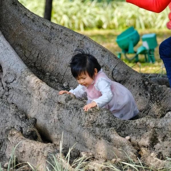 春天 26℃，这就是广州的春天，街坊直接换短袖