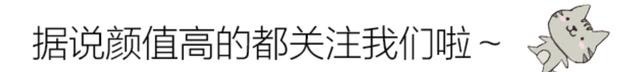 败家|细品光头强如何败家，抓熊练出八块腹肌，一皮搋子花掉500万