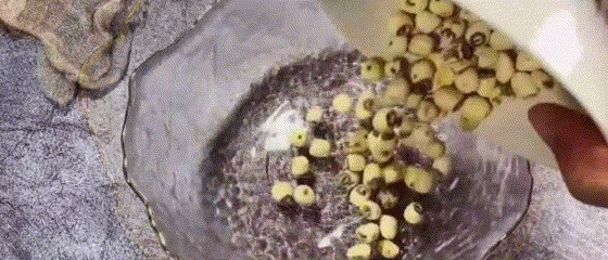 百合|失眠最“怕”这菜,睡不香的人要多吃,养心安神,一觉睡到自然醒