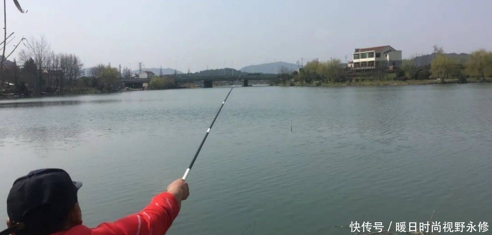 夏季|夏季作钓,小鱼中“抢”大鱼只需这四招,一般人我不说