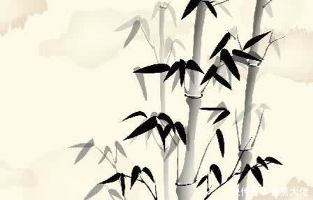 竹子|最艰难的时候，多熬这一步，结果会完全不一样