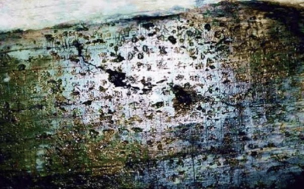 山壁|西藏特大发现,山壁上刻有失传多年的惊人历史,专家:传说是真的!