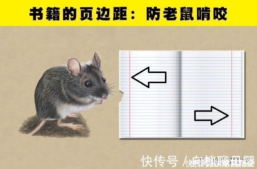 事物|关于7件常见事物,你可能没有听说过的小秘密