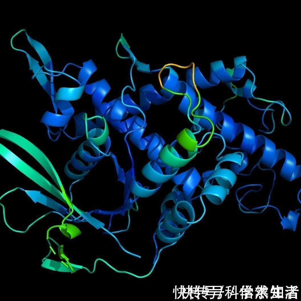 人类|没错,战胜柯洁的AI,已经开始解决困扰科学家50年的生物难题