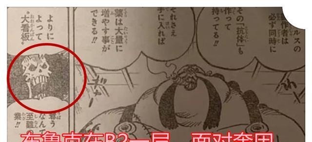 山治|海贼王994话分析新出场的能力者叫哈姆雷特，被甚平和山治嫌弃并且秒杀