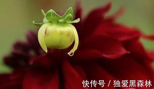 相守|下礼拜，彼岸花开，难忘旧情，旧爱重逢，断线重连，余生相知相