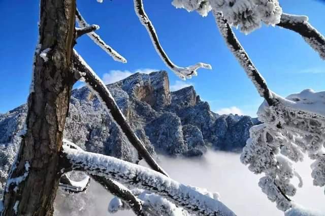 界岭|散文‖王玉贵：又到界岭飞雪时