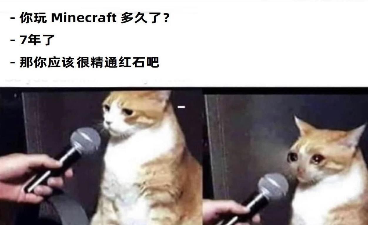 我的世界 不是mc十年玩家 根本看不出来的梗图 老玩家 真实 全网搜