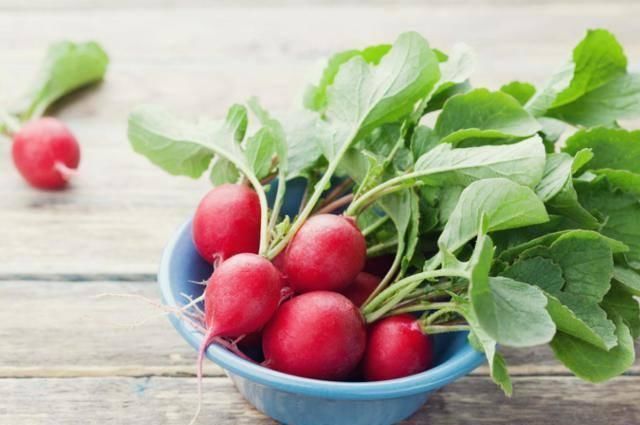 抗氧化|糖尿病人常吃萝卜,对血糖是好是坏“答案”可能会让你感到意外