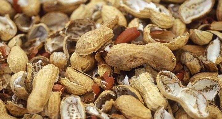 养花离不开花肥,怎么正确发酵花生壳?一共三步,一步不能少