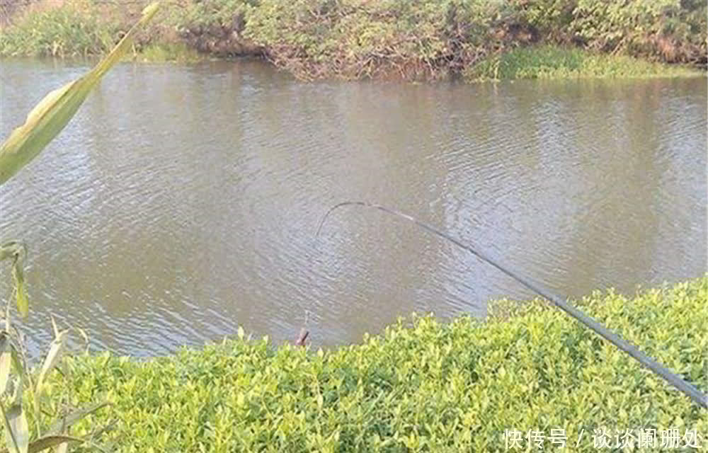 鱼窝|野钓选钓位,一不能图方便,二不能靠运气,四大招数帮你找到鱼窝