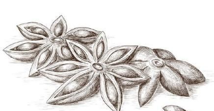 调味品|做饭时常用的调味料,毒性堪比“穿肠草”,专家教你如何分辨!