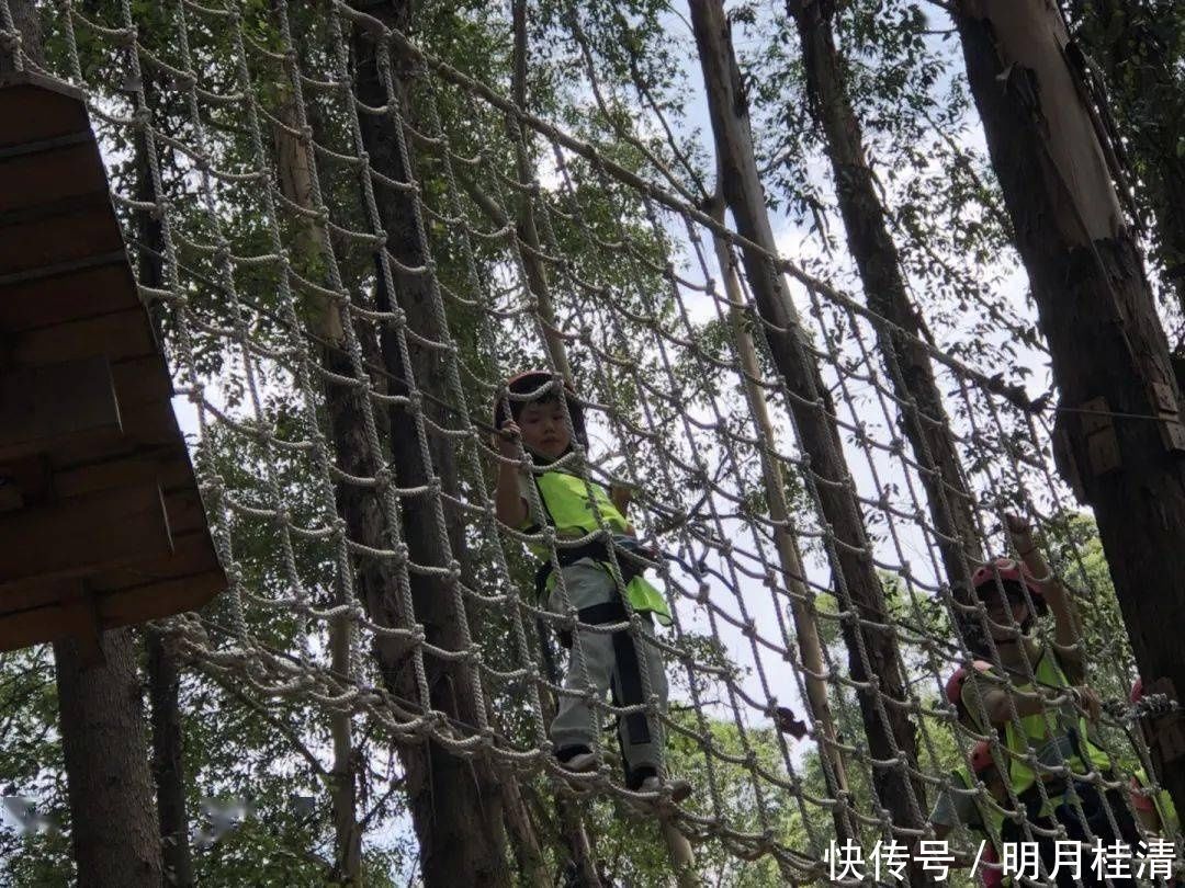 亲子大作战飞越丛林、默契考验……桥南街萌娃和父母户外拓展,尽享天伦之乐