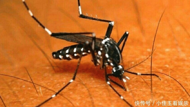 不要错过这几个好方法,用起来很方便,帮助自己解决很多烦心事