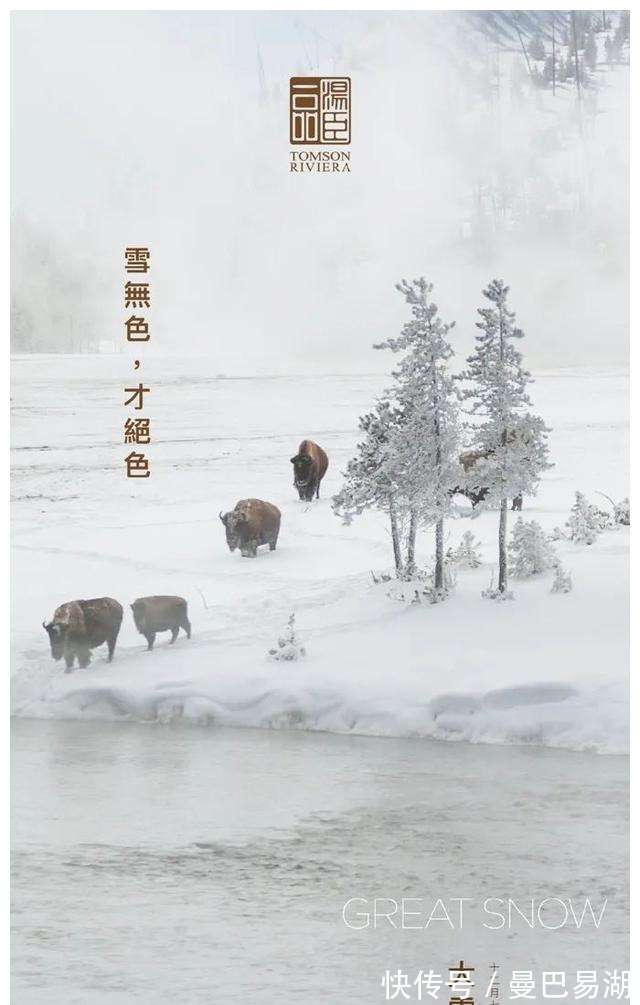 豪宅|“中国第一豪宅”汤臣一品，文案海报有多秀