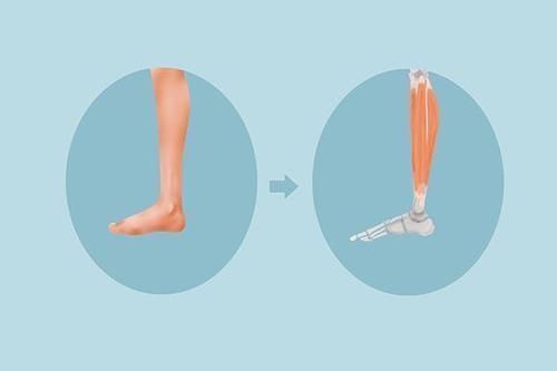 动作|深蹲号称“动作之王”,男性每天做50个,身体会获得哪些好处?