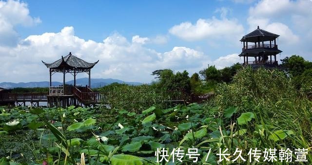 三道茶|浙江最大的湿地景点，离杭州不远，人少景美，防风女婿茶更是有趣