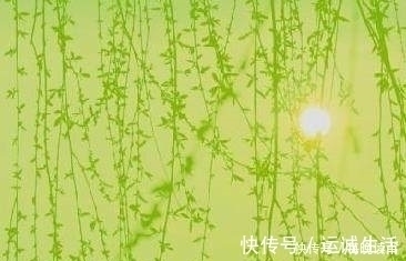 古人$十二首描写风的诗词,古人太有才,如何不开怀