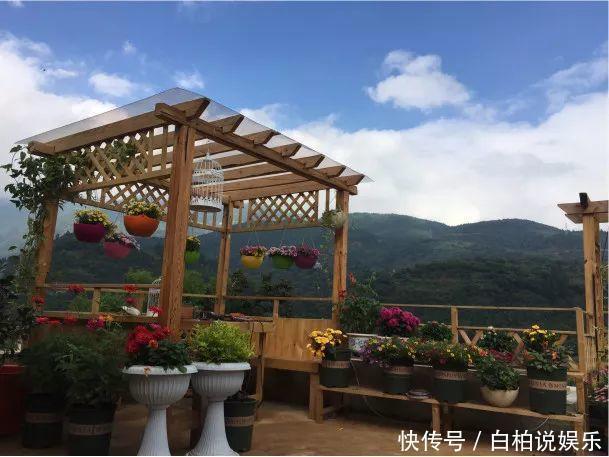 女婿在楼顶养多肉,村里人都跑来参观,丈母娘高兴坏了!