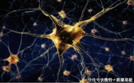 104岁老人暴露长寿秘诀既吸烟又喝酒，他却唯独不“沾”这件事