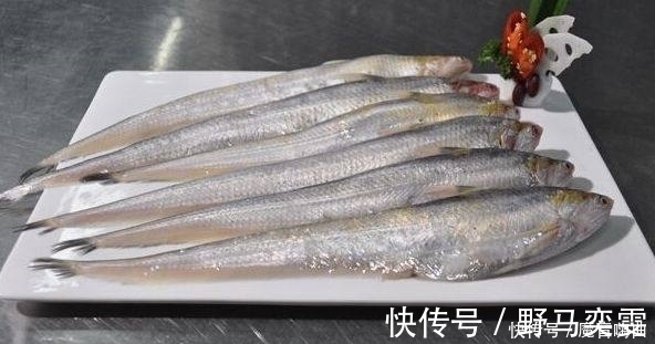 世界上最昂贵的五种食用鱼，一条几百万，叫人怎么下得了口！