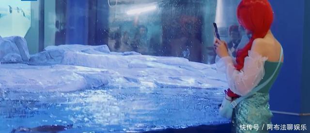 敷衍|玩游戏作弊,喝口水都作假,郑爽上节目太敷衍遭杨迪怒怼认真点!