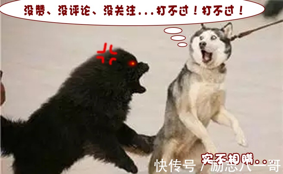 弗兰奇|图个有趣第72期