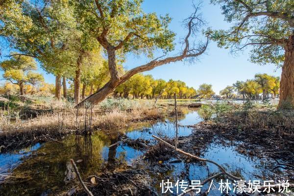 地方|告别人山人海，来这个高性价比的地方感受最美秋天！