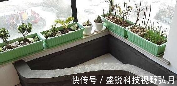 鱼池|偷偷在阳台砖砌鱼池, 邻居来玩, 去物业把我投诉了