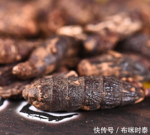 农村|农村这种植物被看作杂草,小孩常拿来玩,其实它的价值主要在根部