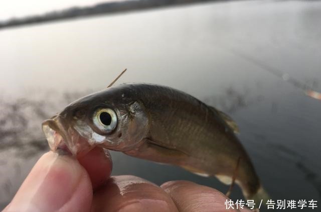 子线互相缠绕怎么办要想有效避免,还得这6招