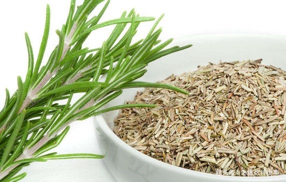 细菌讨厌的3种植物，家里养一盆，不仅好看，还能省去很多医药费