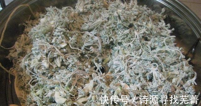 药用价值|农村一种野草叫“咬人草”地里随处可见，如今却是“百草之王”！