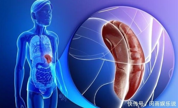 汗疱疹|手脚总起小水泡,奇痒难忍,警惕:是身体这个“器官”出问题了