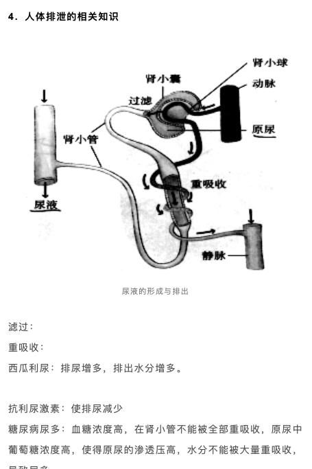 高考|高中生物：2021高考一轮复习知识点汇总，考生别错过！