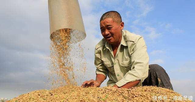 wto|遍地都是“旺铺转让”,实体店还有未来吗?马云给出商铺五字建议